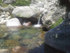 20160721_140239