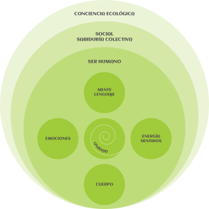 modelo-koru