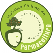 instituto-chile instituto-chile