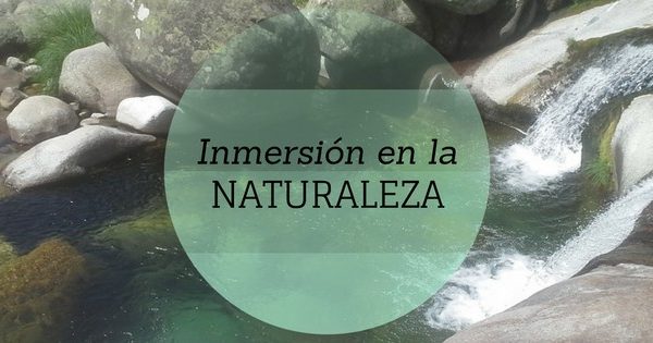 Inmersión