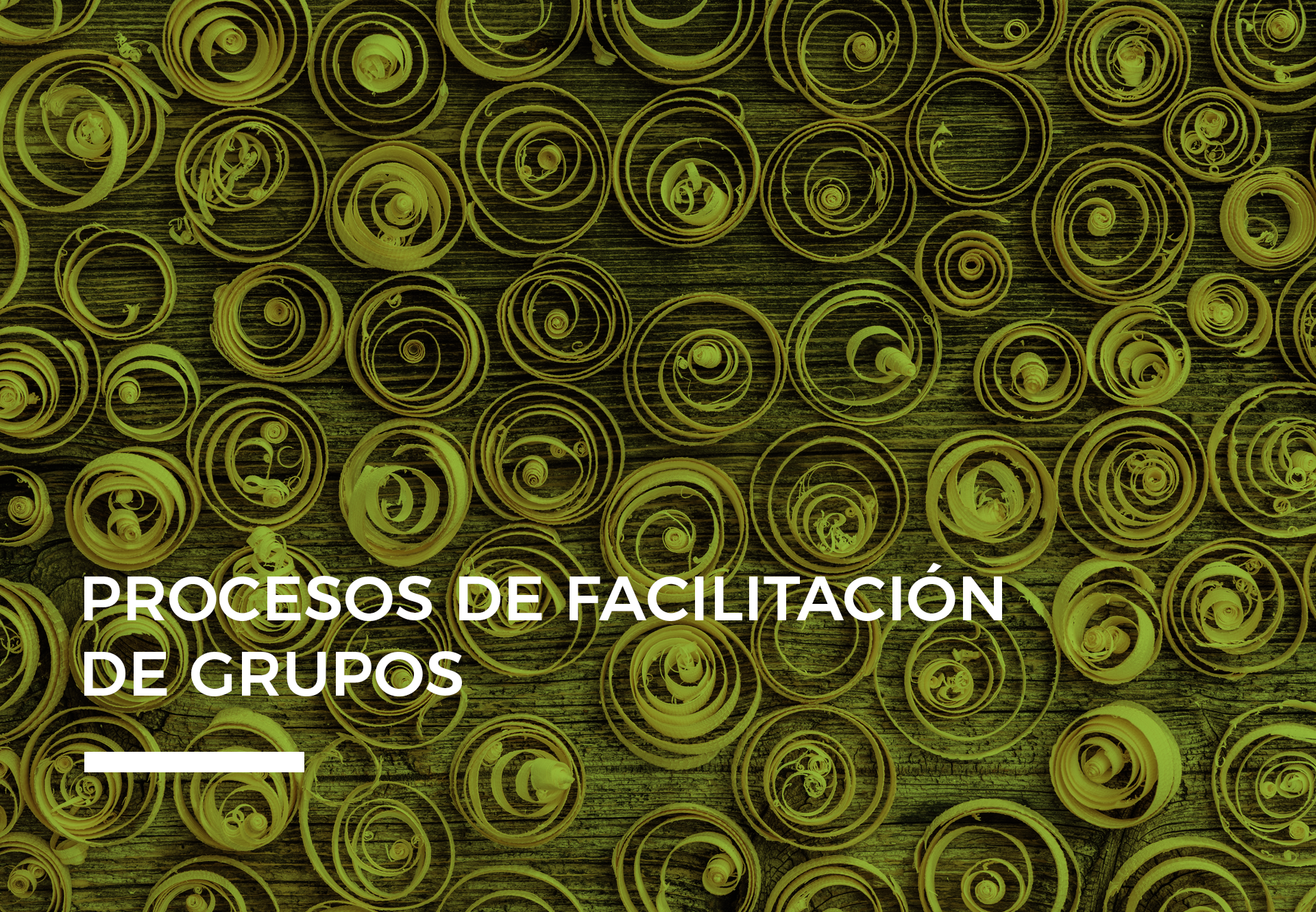 facilitacion-grupos
