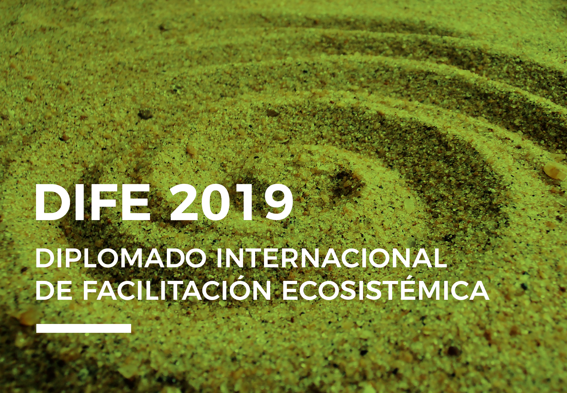 DIFE-2019