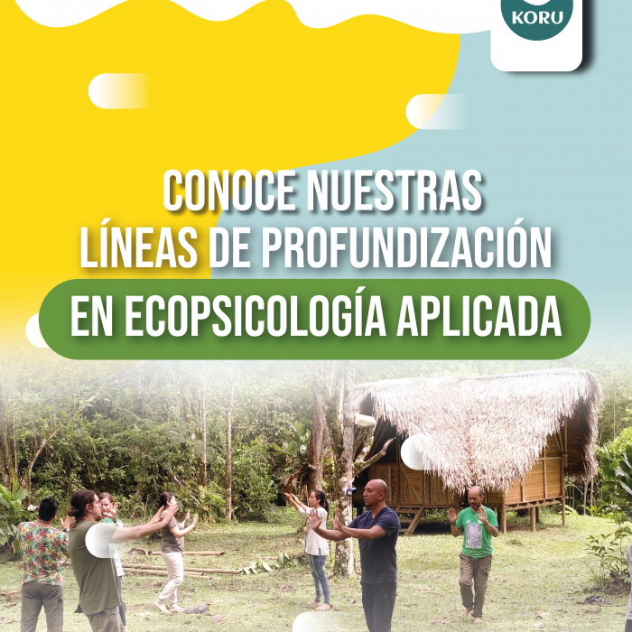 LINEAS DE PROFUNDIZACION LINEAS DE PROFUNDIZACION