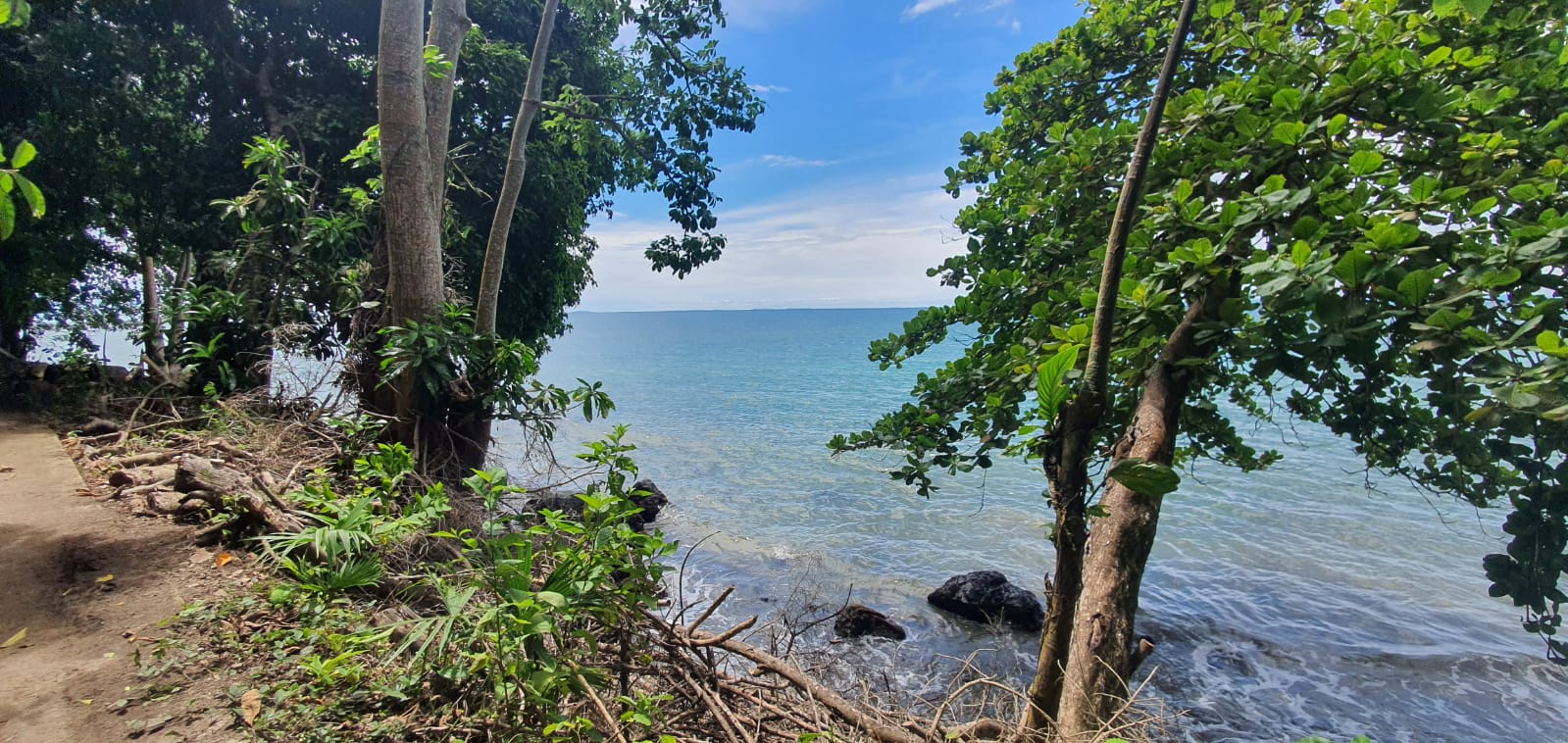 Abya Yala Koru Colombia