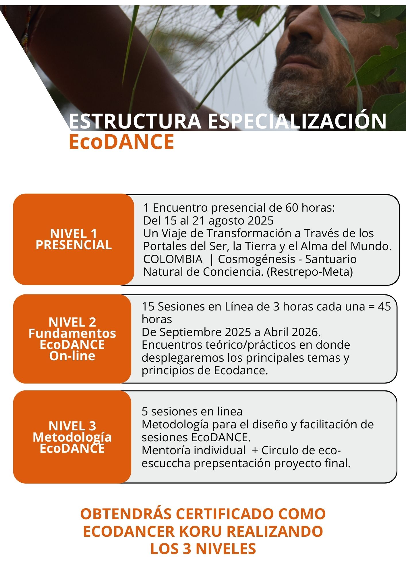 estructura ecodance