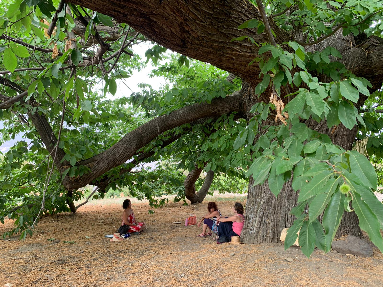 Ecopsicologia, KORU Transformacion